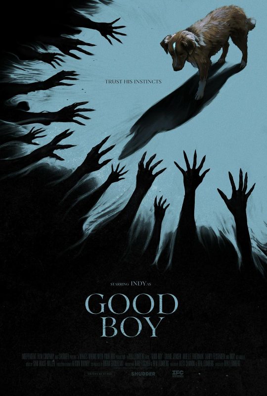 好狗狗 Good Boy (2025) - 光鸭·臻影社-光鸭·臻影社