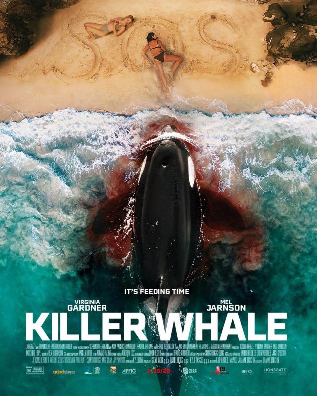 杀人鲸 Killer Whale (2026) - 光鸭·臻影社-光鸭·臻影社